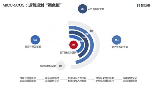 縱合咨詢（MICC） 戰(zhàn)略定位與管理咨詢領域的特色品質(zhì)企業(yè)